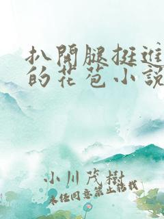 扒开腿挺进湿润的花苞小说