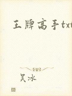 王牌高手txt