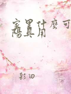 家里什么可以当阳具用