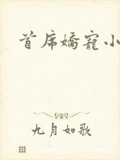 首席娇宠小情人