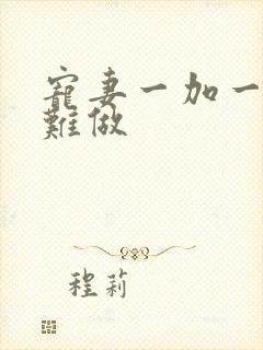 宠妻一加一老婆难做