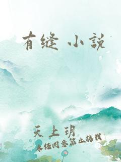 有缝 小说