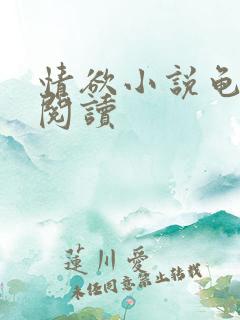 情欲小说龟全文阅读