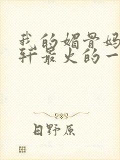 我的媚骨妈妈林轩最火的一句