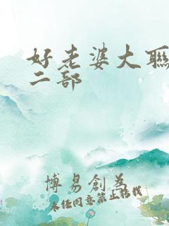 好老婆大联盟第二部
