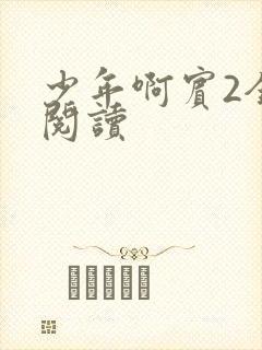 少年啊宾2全文阅读