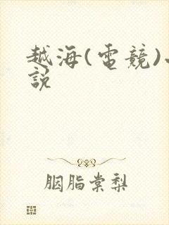 越海(电竞)小说