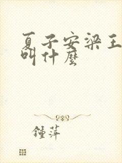 夏子安梁王书名叫什么