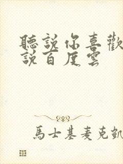 听说你喜欢我小说百度云