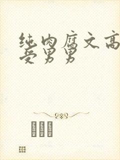 纯肉腐文高H总受男男