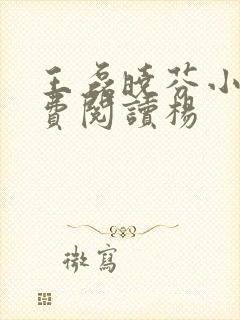 王磊晓芬小说免费阅读杨