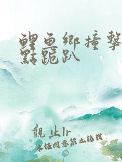 鲤鱼乡撞击敏感点跪趴