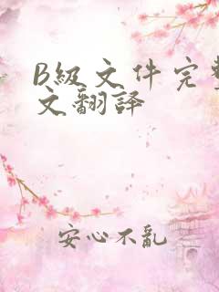 B级文件完整中文翻译