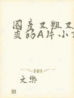 国产又粗又黄又爽的A片小说