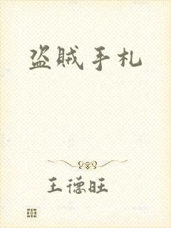 盗贼手札