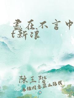 尽在不言中txt新浪