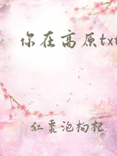 你在高原txt