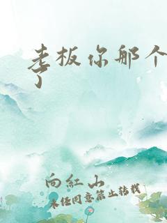 老板你那个太长了