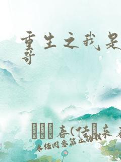 重生之我是大帅哥