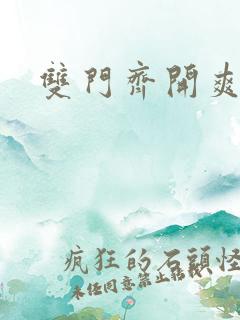 双门齐开爽死啦