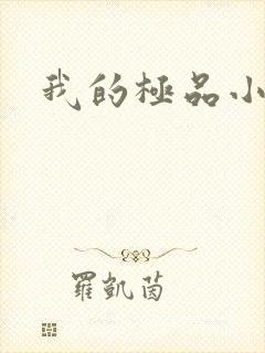 我的极品小姨