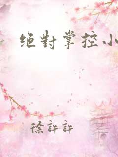 绝对掌控小说