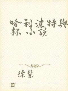 哈利波特与火焰杯 小说