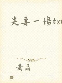 夫妻一场txt