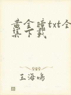 黄金瞳txt全集下载