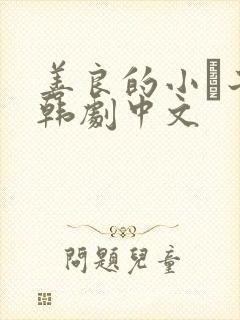 善良的小峓子2韩剧中文