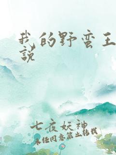 我的野蛮王妃小说