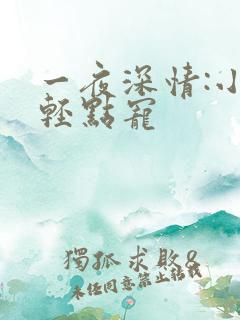 一夜深情:小叔轻点宠
