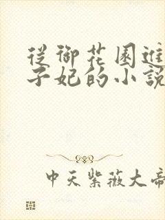 从御花园进入太子妃的小说