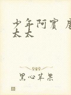 少年阿宾 房东太太