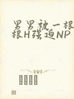 男男被一根又一根H强迫NP