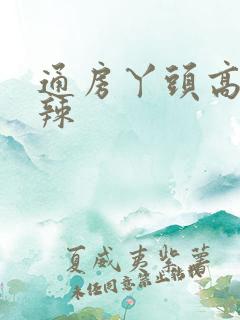 通房丫头高h肉辣