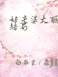 好老婆大联盟大结局