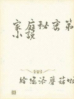 家庭秘密第3集小说