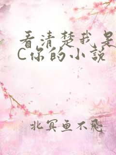 看清楚我是怎么C你的小说