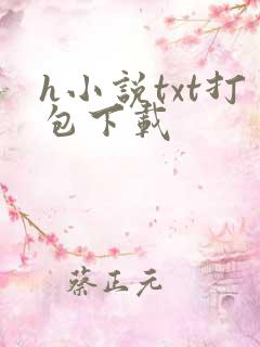 h小说txt打包下载