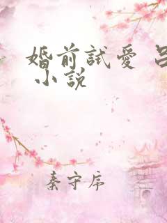 婚前试爱 吕颜 小说