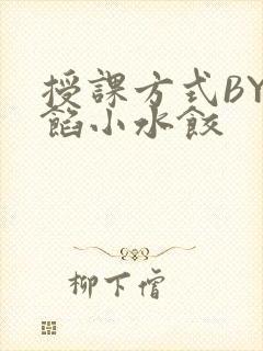 授课方式BY肉馅小水饺