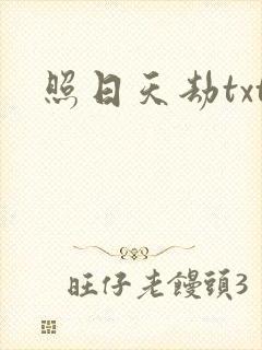 照日天劫txt