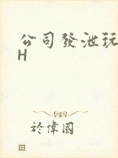 公司发泄玩具lH