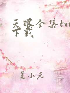 天眼全集txt下载