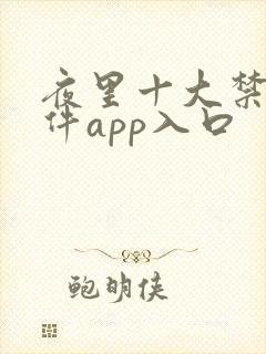 夜里十大禁用软件app入口