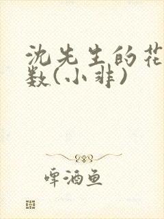 沈先生的花式调数(小非)