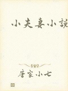 小夫妻小说
