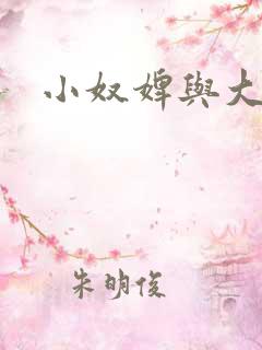 小奴婢与大少爷