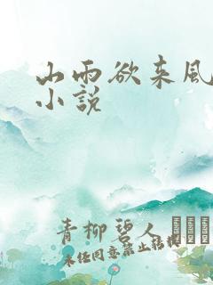 山雨欲来风满楼小说